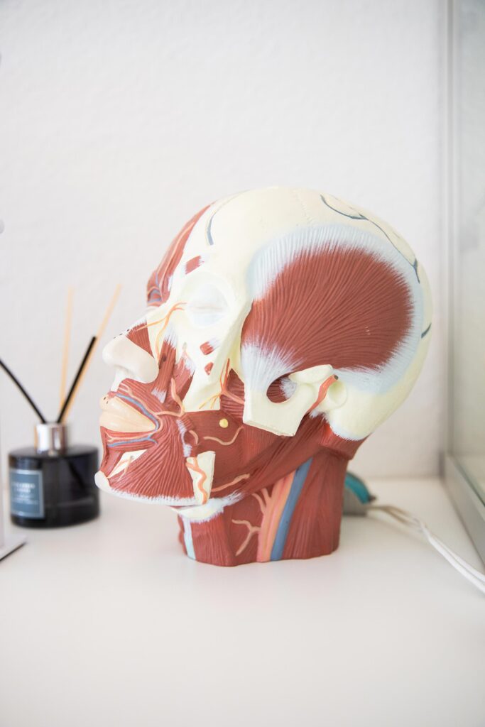 Anaplastology Care